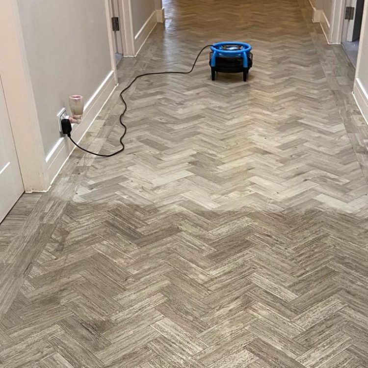 vinyl floor clean vinyl floor clean